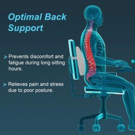 Tynor Lumbo-Back Rest L-91 Orthopaedic Support